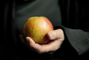 運動後の食事タイミングはダイエットにどのように影響する？