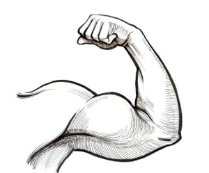 ジムで生理中の女性が筋トレをする際の注意点は？