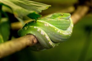 ジムの定額プランで女性におすすめの通い放題は？