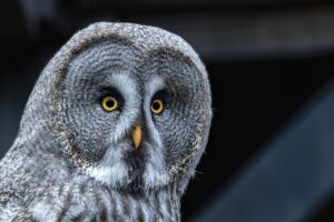 デコルテを痩せるための効果的なエクササイズは？