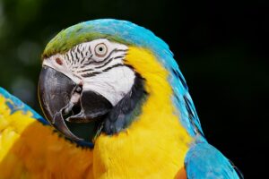 ベビーシッター付きのジムで子育て中のママが安心してトレーニングする方法は？