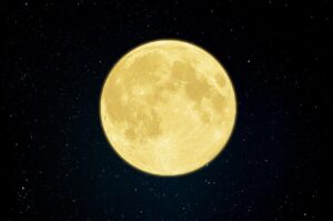 20代女性が同窓会前に実践すべきジムでのダイエット方法は？