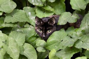 ジムのおすすめプログラムはどれが自分に合う？