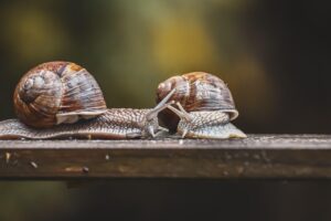 ジムの予約で失敗しないための注意点は？